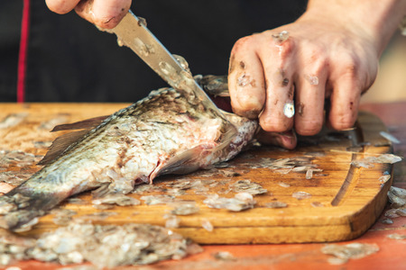 clean hands with a knife fresh fishの写真素材