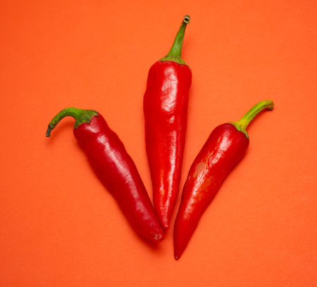 Red hot chili pepper, isolatedの写真素材