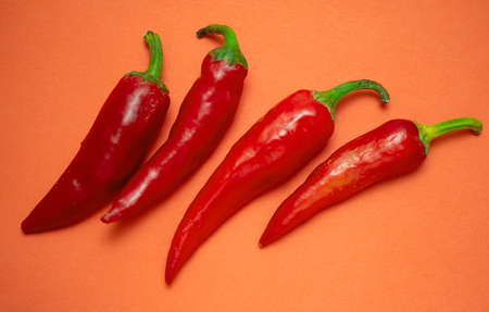 Red hot chili pepper, isolatedの写真素材