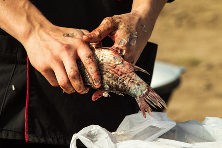 clean hands with a knife fresh fishの写真素材