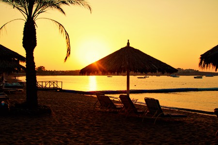 sunset on the beach blurred silhouettes of umbrellasの写真素材