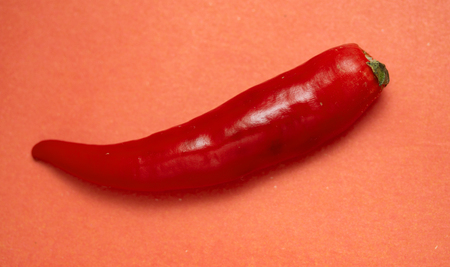 Red hot chili pepper, isolated
