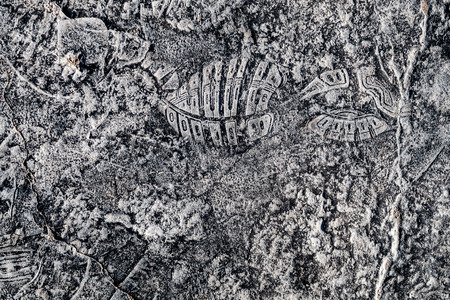 dark concrete rough texture, background for design