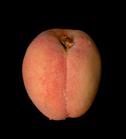 peaches isolated on a black backgroundの写真素材