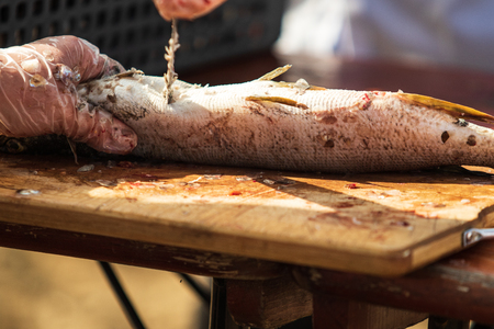 clean hands with a knife fresh fish