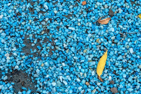 blue pebbles and leaves of a treeの写真素材