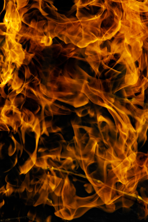 Fire flames on a black background