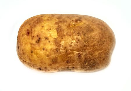 potato tuber on white backgroundの写真素材