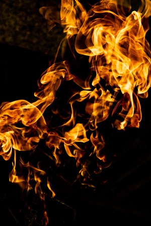 Fire flames on a black backgroundの写真素材