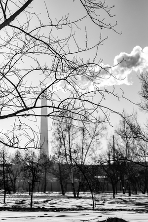 ecology, smoke in the sky, trees without leaves, black and white photoの写真素材