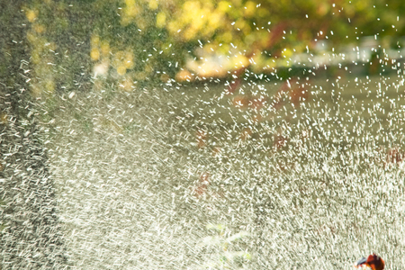 defocused, splashing water, blurred drops bokeh natureの写真素材