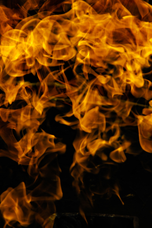 Fire flames on a black background
