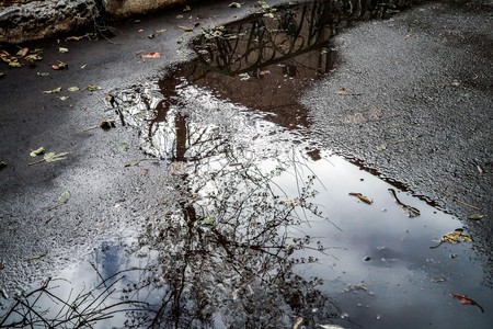 puddle of water on asphaltの写真素材
