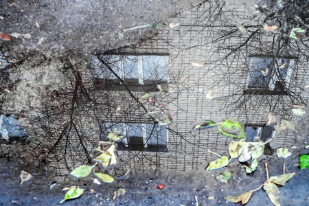puddle of water on asphalt