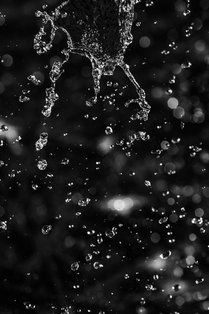 Water splash in dark with a drops of water flying, defocused bokeh.の写真素材