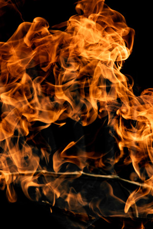 Fire flames on a black backgroundの写真素材