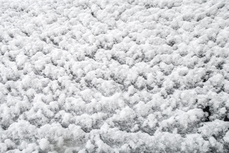 snow white closeup backgroundの写真素材