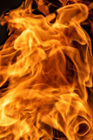 Fire flames on a black background