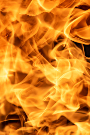 Fire flames on a black background