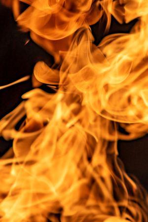 Fire flames on a black background