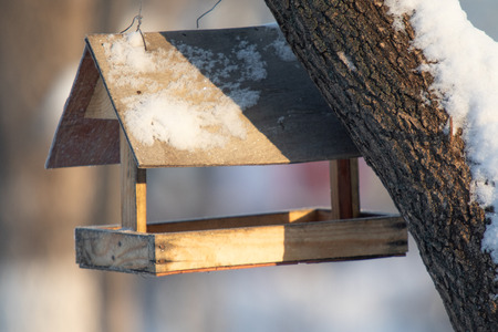 wooden bird feeder, winter forestの写真素材