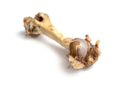 Set of pork bones isolated on white backgroundâ€“ stock image