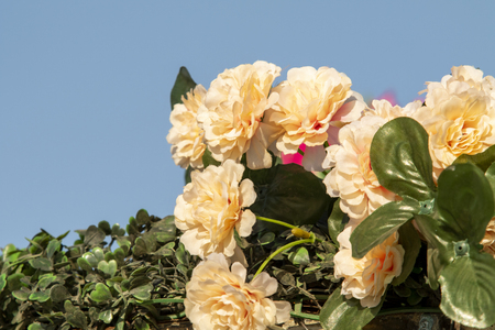 Artificial flowers against the blue sky.の写真素材