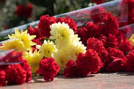 Red carnation flowers are a great bouquet.