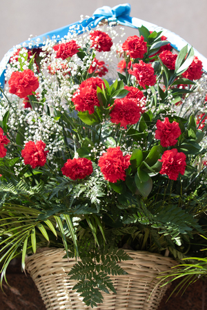 Red carnation flowers are a great bouquet.の写真素材