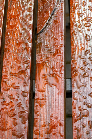Raindrops on a wooden bench close-up.の写真素材