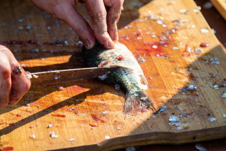 On the table, clean the fish from the scales and remove the entrails. Peeling and fillet of fresh fish that use a knife to clean the fish. Seafood cooking.の写真素材