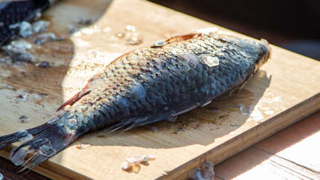On the table, clean the fish from the scales and remove the entrails. Peeling and fillet of fresh...