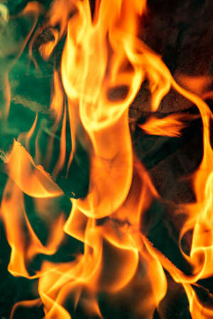Abstract background, bright flame of fire, burnt pieces of wood.の写真素材