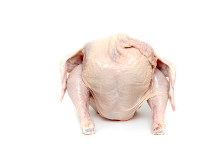 Raw chicken isolated on white background. Clipping path included for easy editing.の写真素材