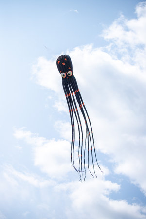 Nice kite flying colors against the blue sky.の写真素材