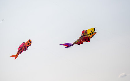 Nice kite flying colors against the blue sky.の写真素材