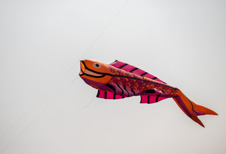 Nice kite flying colors against the blue sky.の写真素材