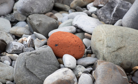 large sea pebble background stoneの写真素材