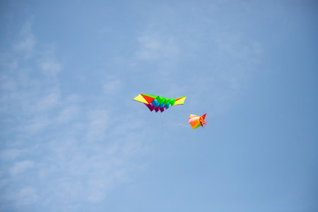 Nice kite flying colors against the blue sky.の写真素材