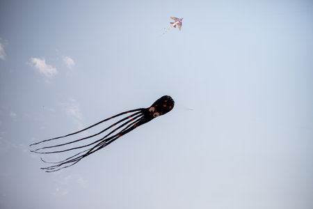 Nice kite flying colors against the blue sky.の写真素材