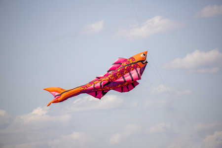 Nice kite flying colors against the blue sky.の写真素材