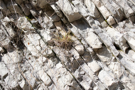 stone wall decorative coating old backgroundの写真素材