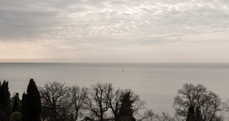 View of the sea and coastal parkの写真素材