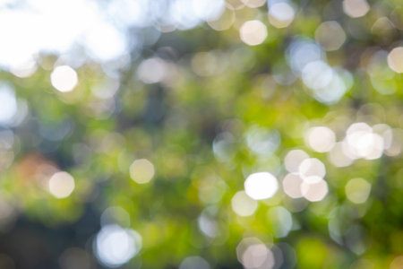 abstract bokeh green leaves backgroundの写真素材