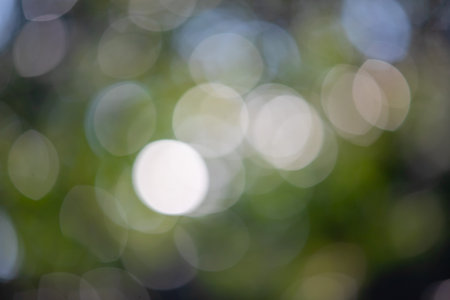 abstract bokeh green leaves backgroundの写真素材