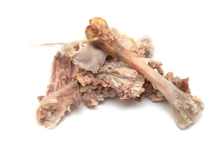 chicken bones on white backgroundの写真素材