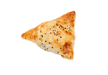 samsa baked meat pie on white background