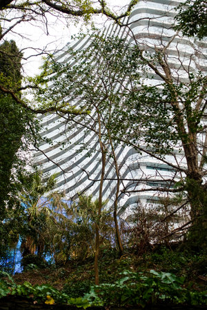 nature of urban forest parkの写真素材