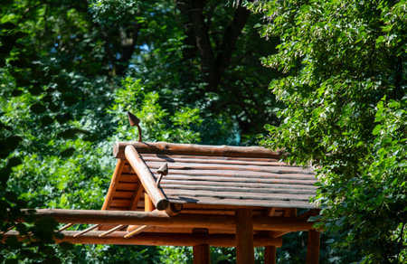 nature of urban forest parkの写真素材