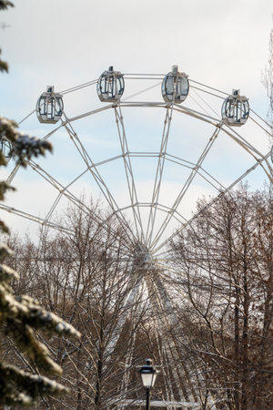 nature of urban forest parkの写真素材